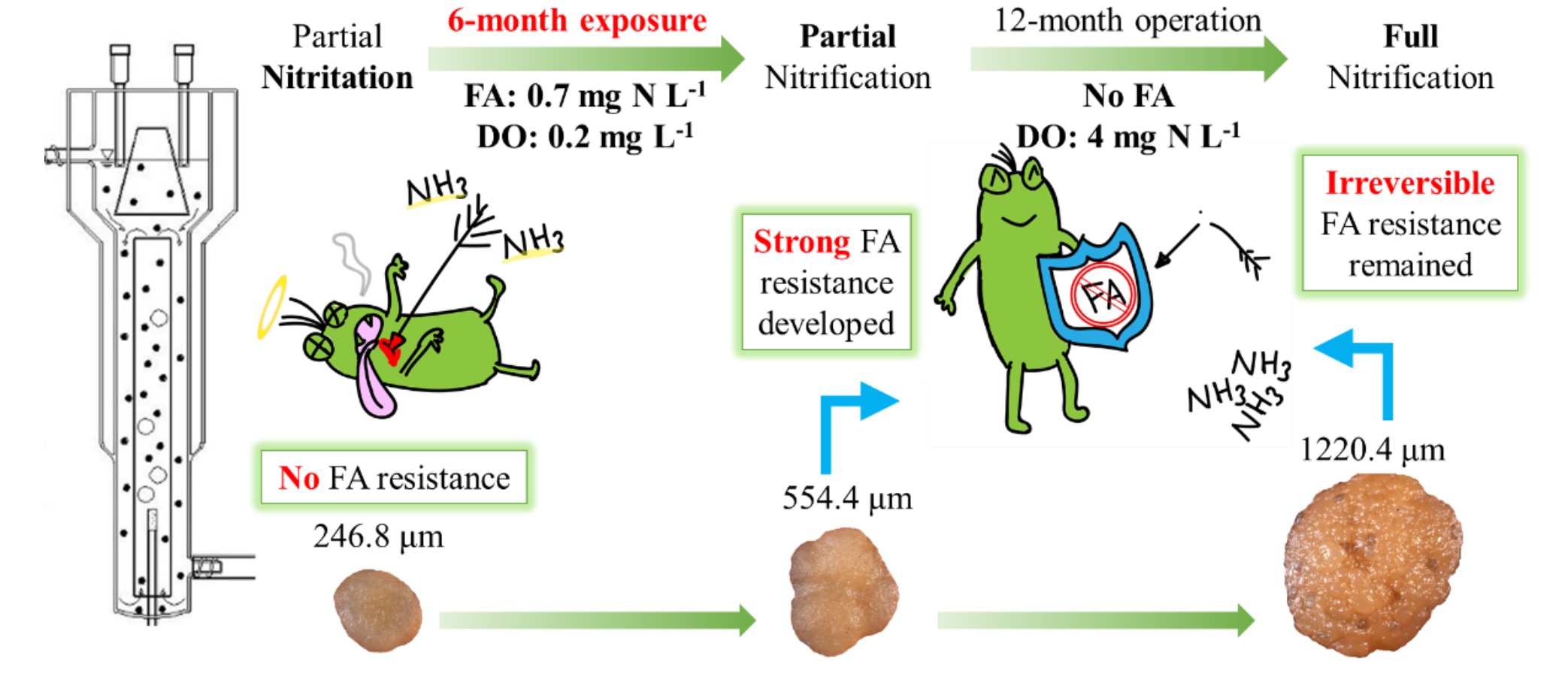 8/15/2020: Congratulate Zhaohui An on his new publication titled “Free ammonia resistance of NOB developed in aerobic granular sludge cultivated in continuous upflow airlift reactors performing partial nitritation”