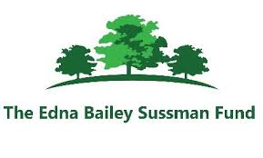 3/16/2021 Ms. Xueyao Zhang and Mr. Rafael Iboleon  have been awarded the Sussman fund for 2021 summer