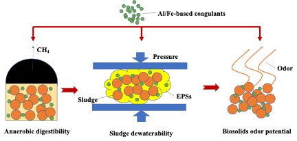 12/16/2021 Congratulate Hao Luo and Yuepeng Sun on the publication of their review paper titled “Impacts of aluminum- and iron-based coagulants on municipal sludge anaerobic digestibility, dewaterability, and odor emission” in Water Environment Research